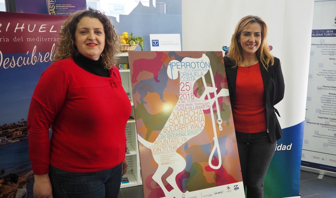 Perrotón to raise awareness of responsible animal ownership