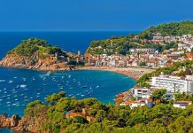 The Leader Newspaper Edition 739