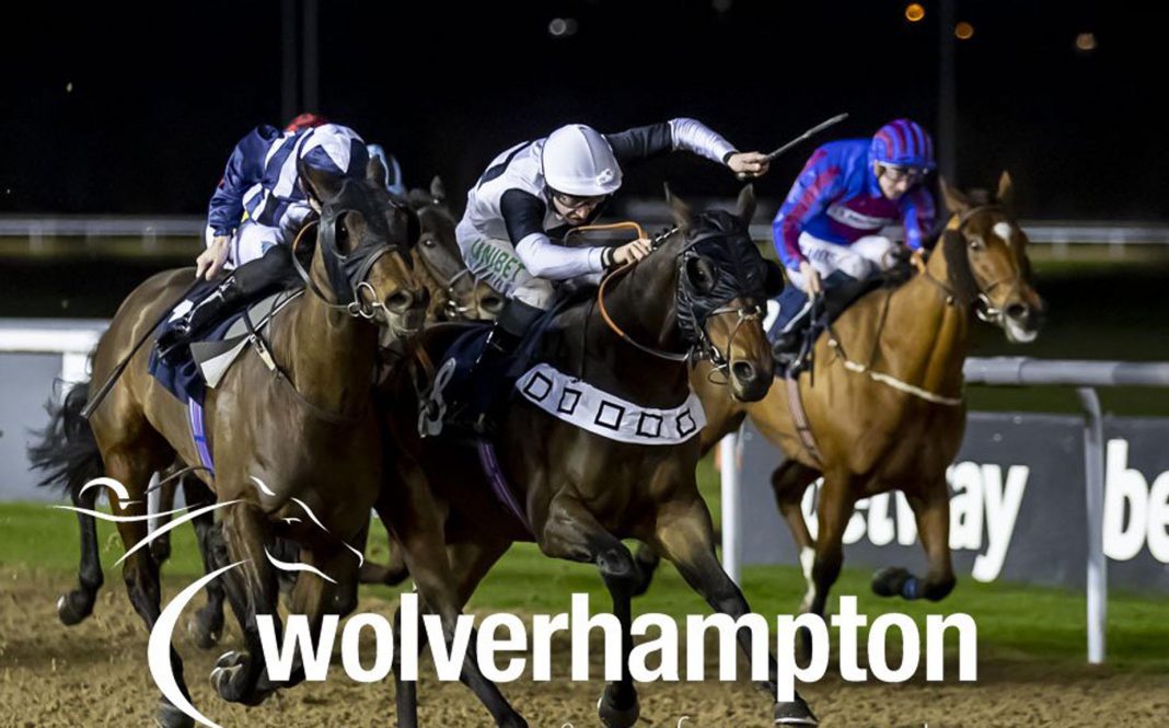 APEX Predator (7.45) is set to strike at Wolverhampton's evening meeting on Saturday