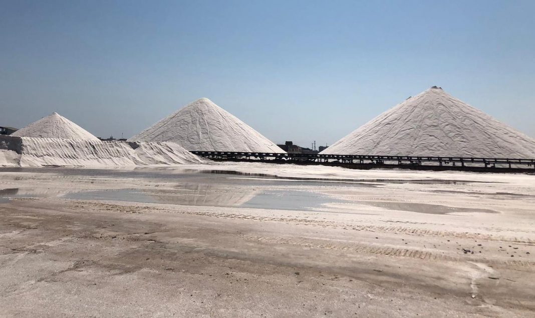 New season of visits to Las Salinas de Torrevieja