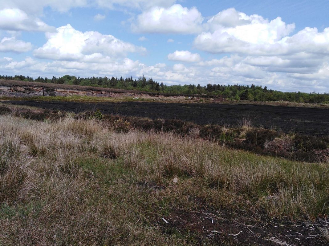 'The most peaceful place on earth' - an Irish bog!