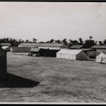 Campo de concentración de Albatera. BIBLIOTECA NACIONAL DE ESPAÑA1