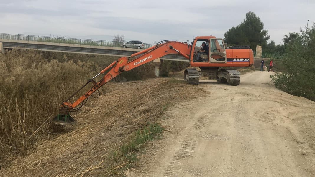 Does the clearing of reeds in the river Segura serve a useful purpose?