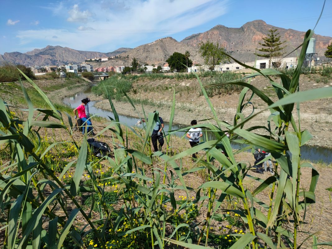 Volunteers clean up the Segura to mark 