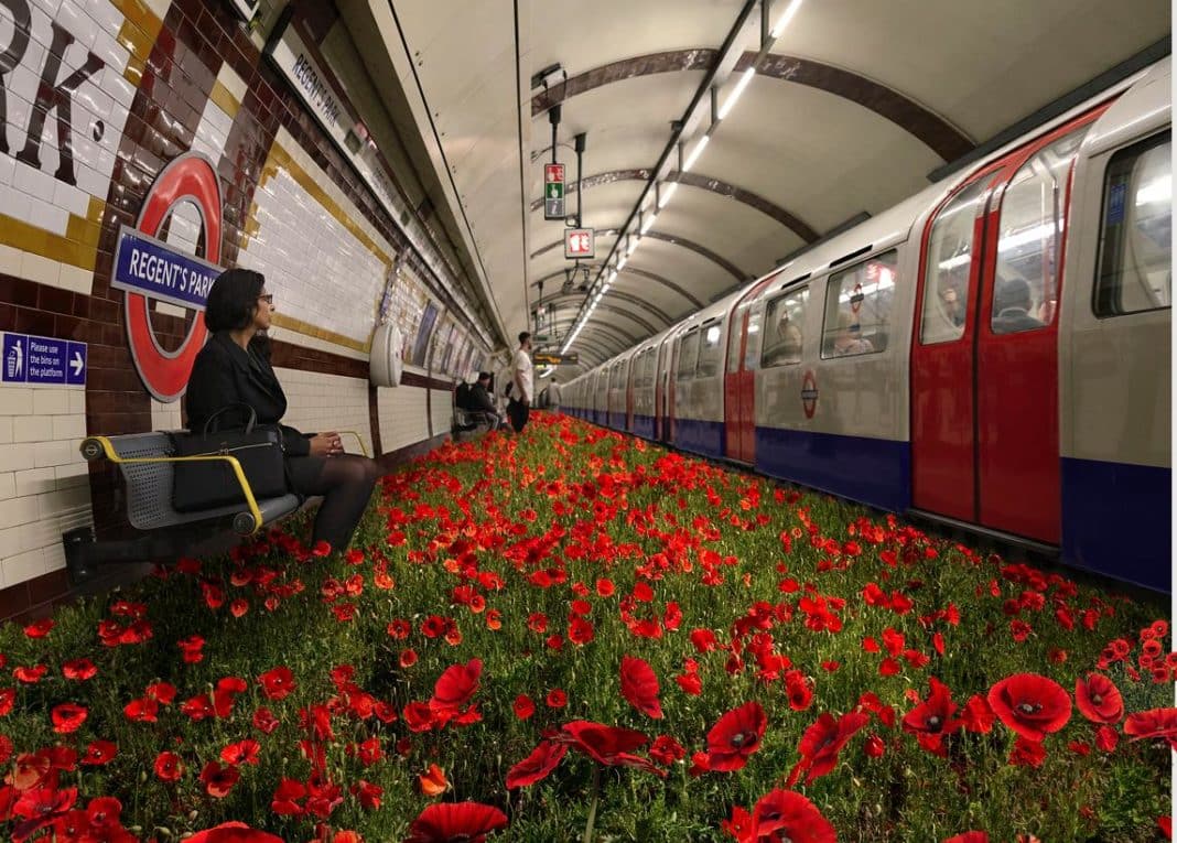 Keep Calm and Support The Poppy Appeal!