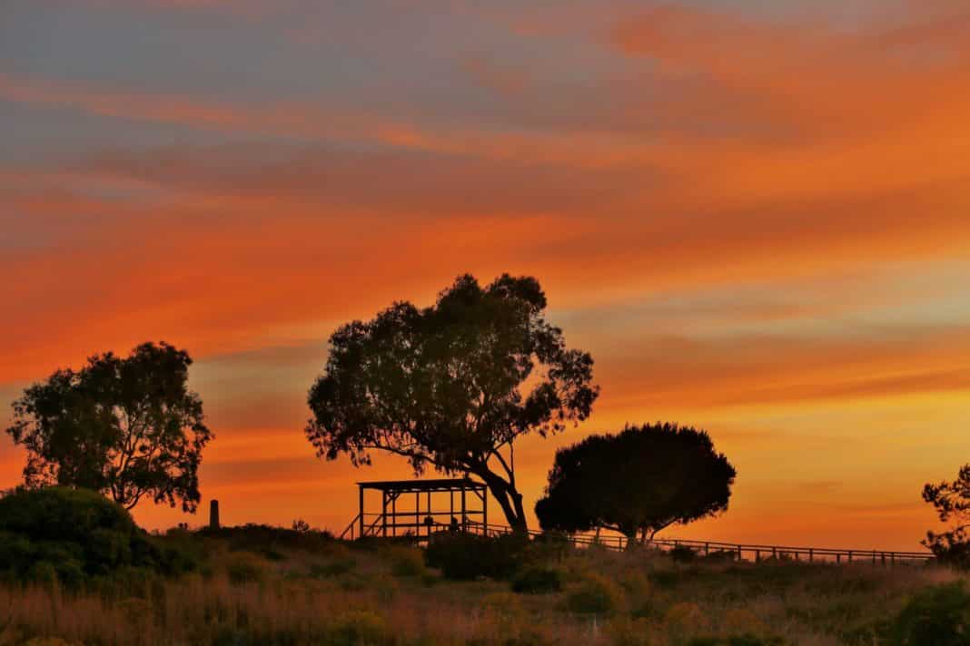 Sunset The Leader in Spain Edition 922 – 07 June 2022