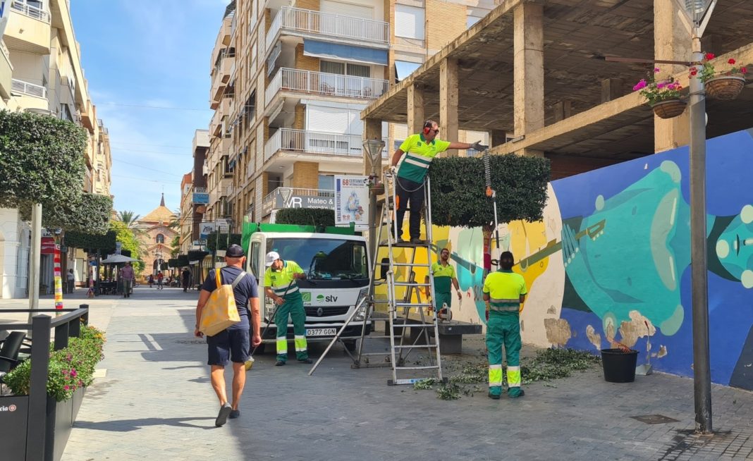 The municipality to reduce its debt by the most is Torrevieja