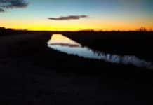 Carp-R-Us Angling Club