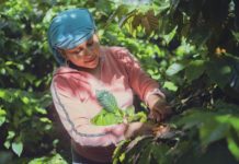 Almost 15% of Workers in the Region are Foreigners