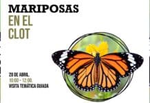 Butterflies in El Clot